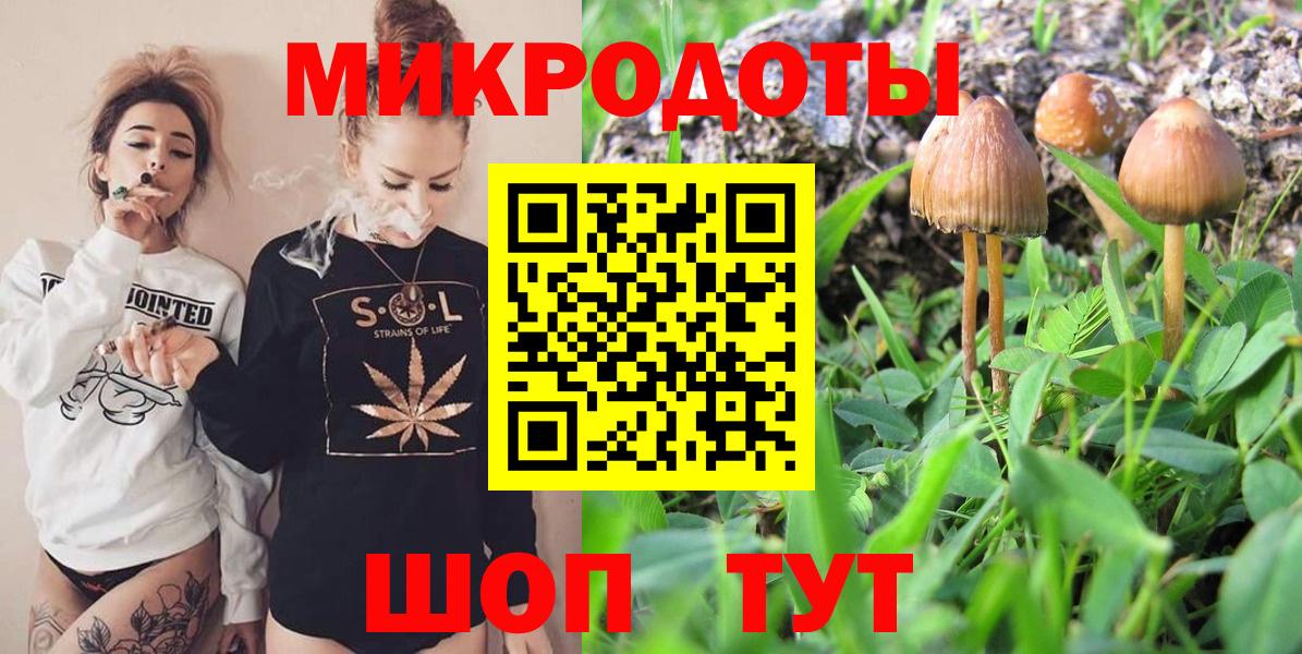 Псилоцибиновые грибы GOLDEN TEACHER Пушкино