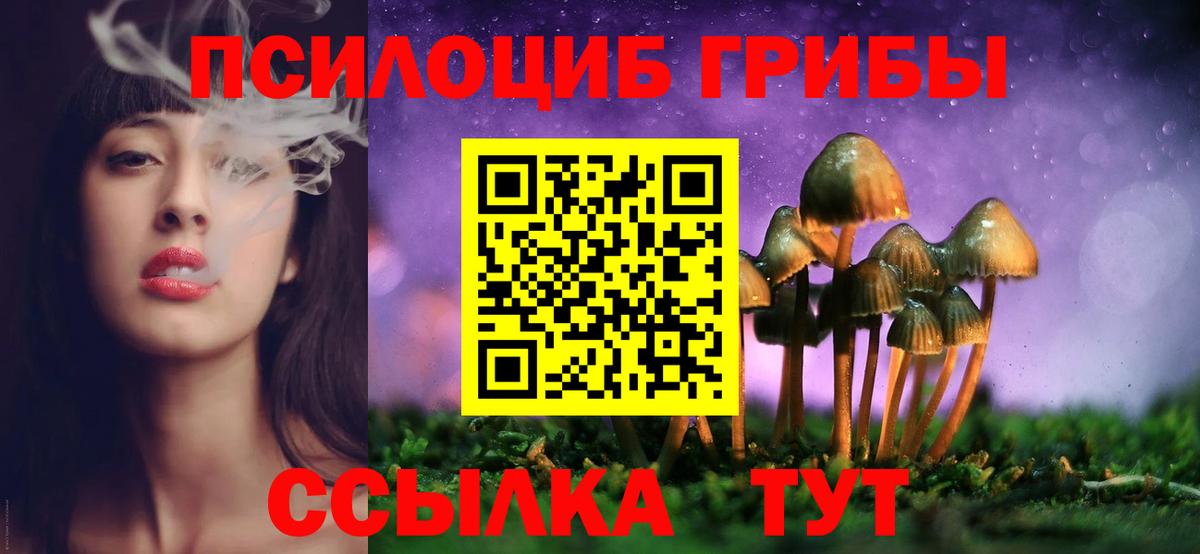Галлюциногенные грибы ЛСД  Вход с VPN  Пушкино  Псилоцибиновые грибы GOLDEN TEACHER 